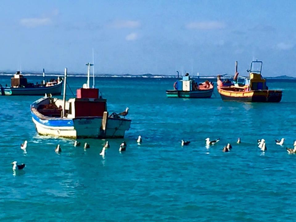 The Goose Nest Apartment Struisbaai Ngoại thất bức ảnh